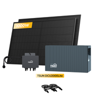 TSUN DCU2000Lite Solarspeicher für Balkonkraftwerke, mit 2 x 500W Bifaziale Solarmodule & 800W Mikro‑Wechselrichter, by Powerness